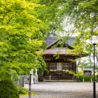 里エリア