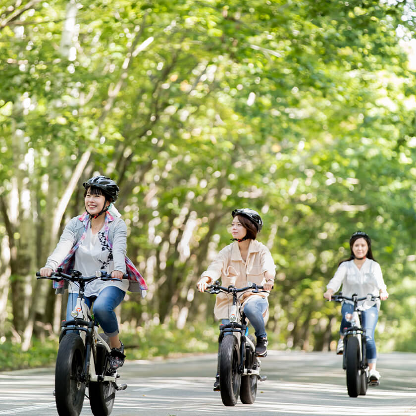 E-bike