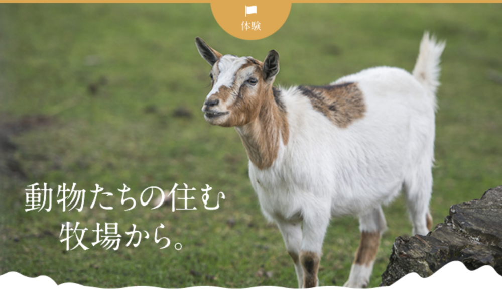動物たちの住む牧場から