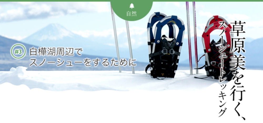 白樺湖周辺で スノーシューをするために