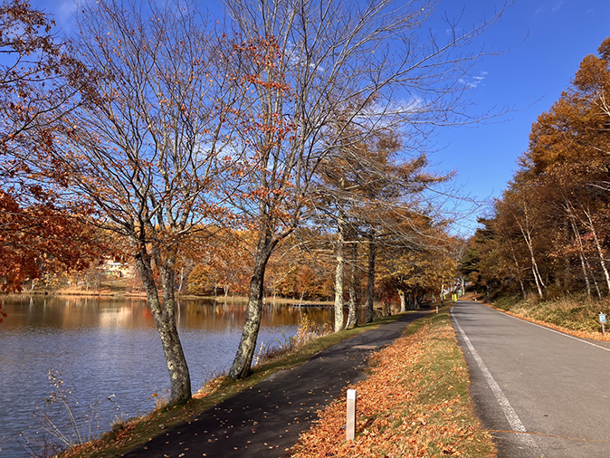 女神湖外周道路北側(11月6日時点)