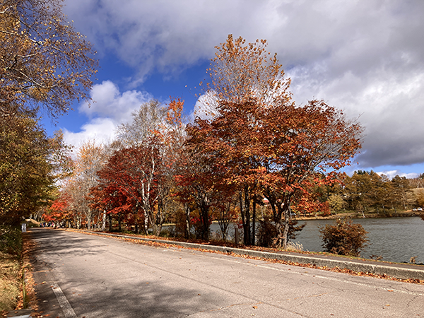 外周道路西側(11月1日時点)