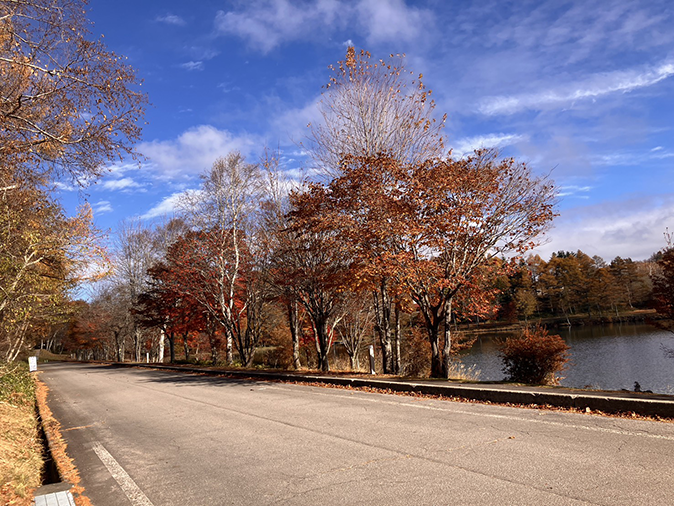 外周道路西側(11月6日時点)
