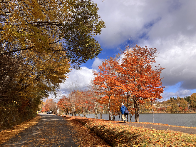 堰堤入口(11月1日時点)