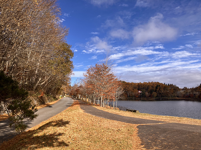 堰堤入口(11月6日時点)