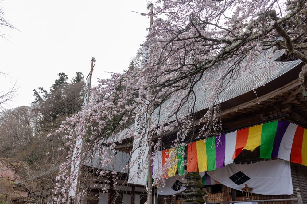 津金寺