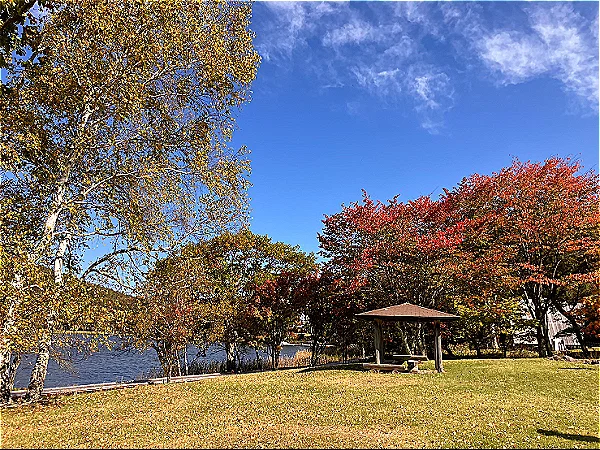 親水公園(10月17日時点)