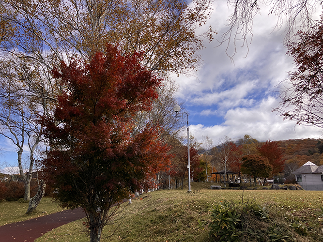 白樺湖グラウンド湖畔側(11月1日時点)