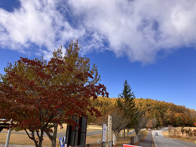 グラウンド入口(11月1日時点)