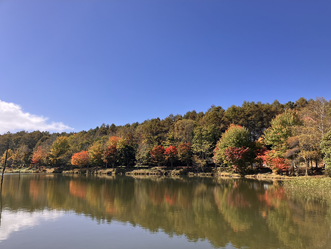 女神湖桟橋(10月17日時点)