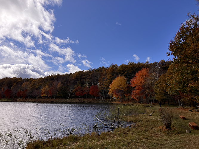 桟橋(11月1日時点)