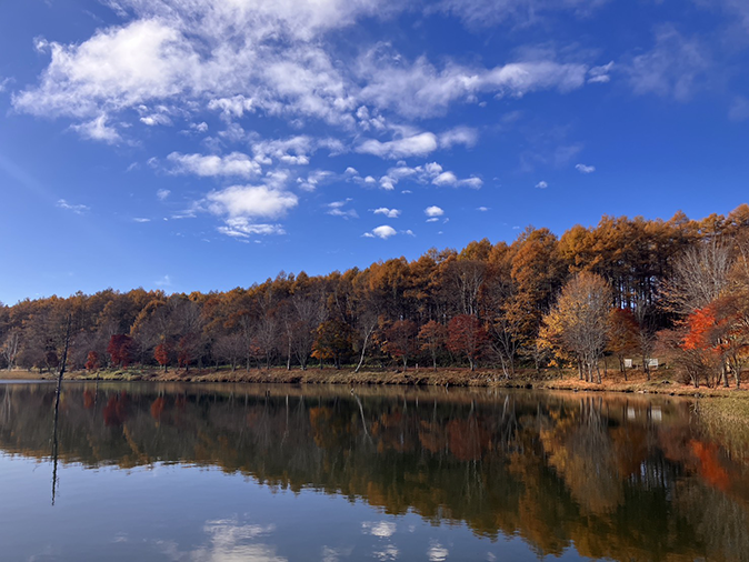 桟橋(11月6日時点)
