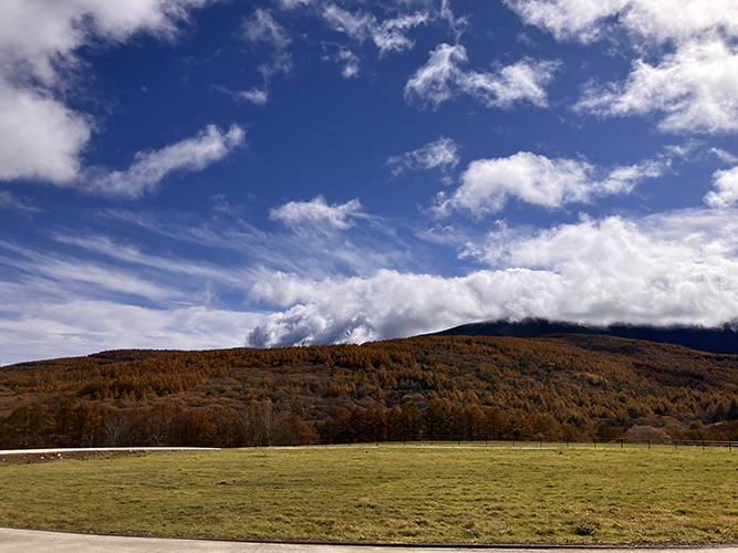 朝日の丘公園(11月1日時点)