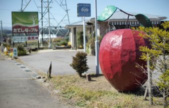 たてしなップル
