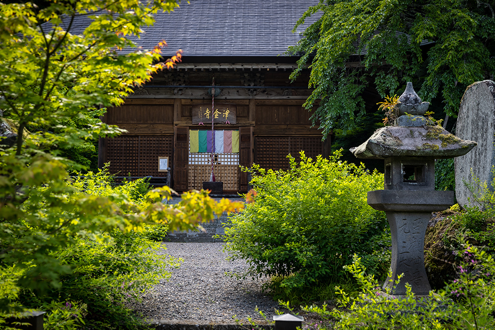 ウォーキングコース