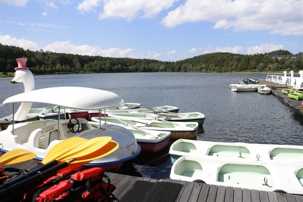 女神湖センター